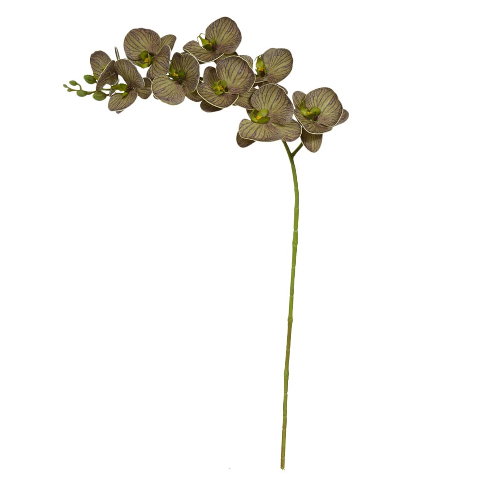 H.ORQUIDEA PHALAENOPSIS EVA X9 (VERDE PURPURA) 98cm