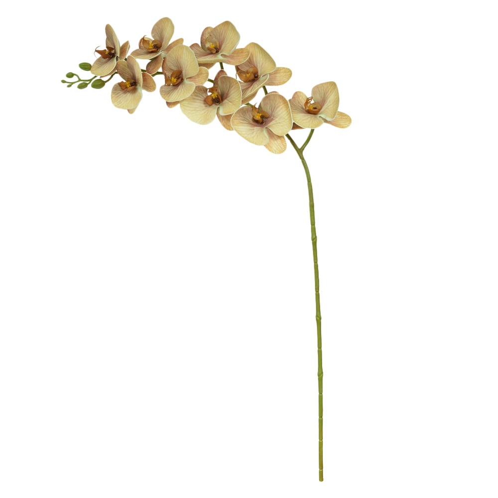 H.ORQUIDEA PHALAENOPSIS EVA X9 (LARANJA) 98cm