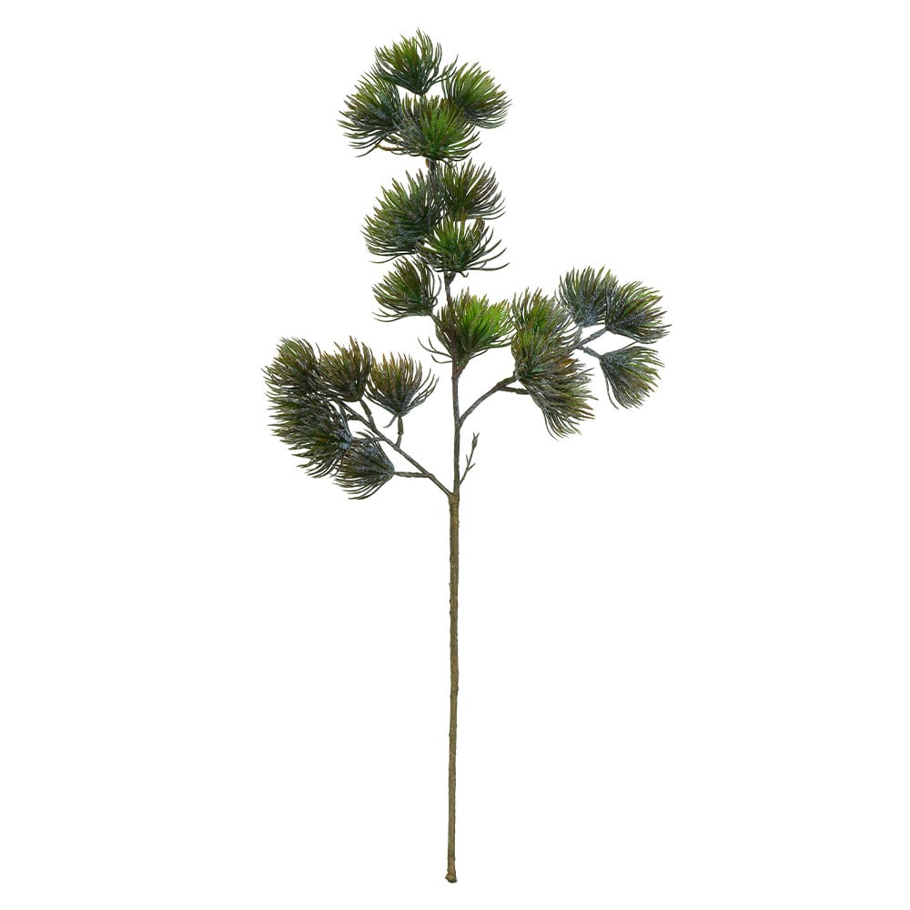 C.CEDRO DO LIBANO C/COAT C/FLOCKED X24 (VERDE OUTONO) 70cm