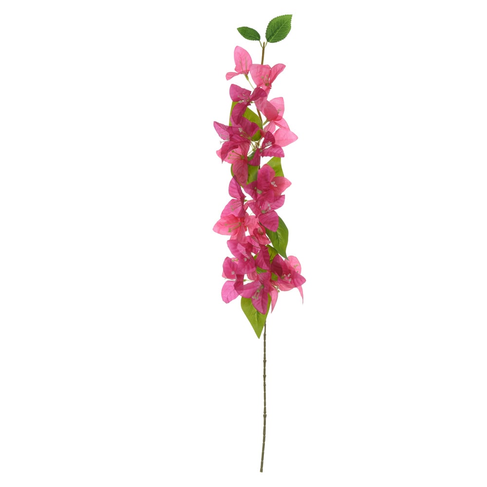 H.BOUGAINVILLE X24 (FUCSIA 2T) 82cm