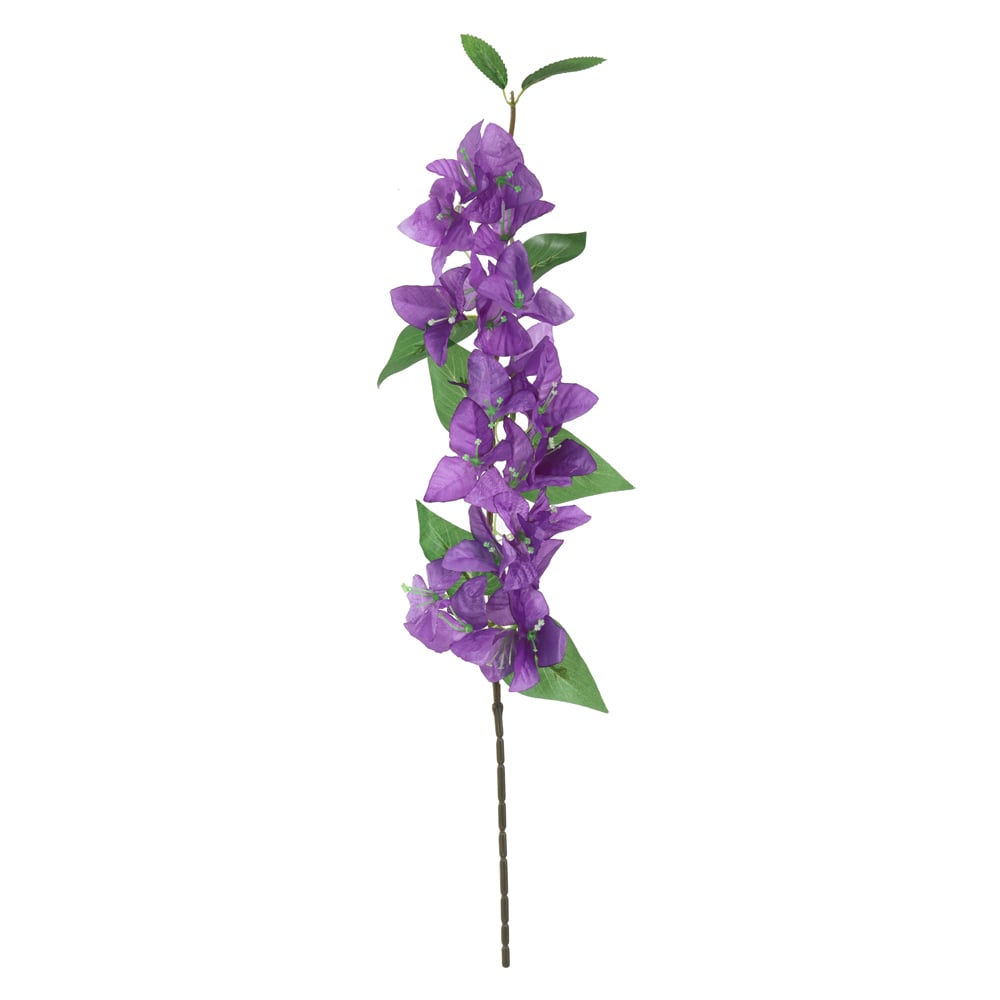 H.BOUGAINVILLE X24 (PURPURA) 82cm