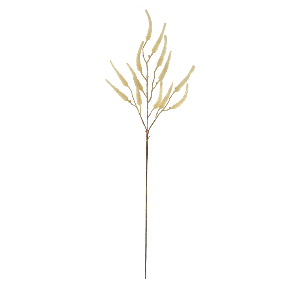 C.GALHO ASTILBE C/FLOCKED X13 (CREME 2T) 90cm