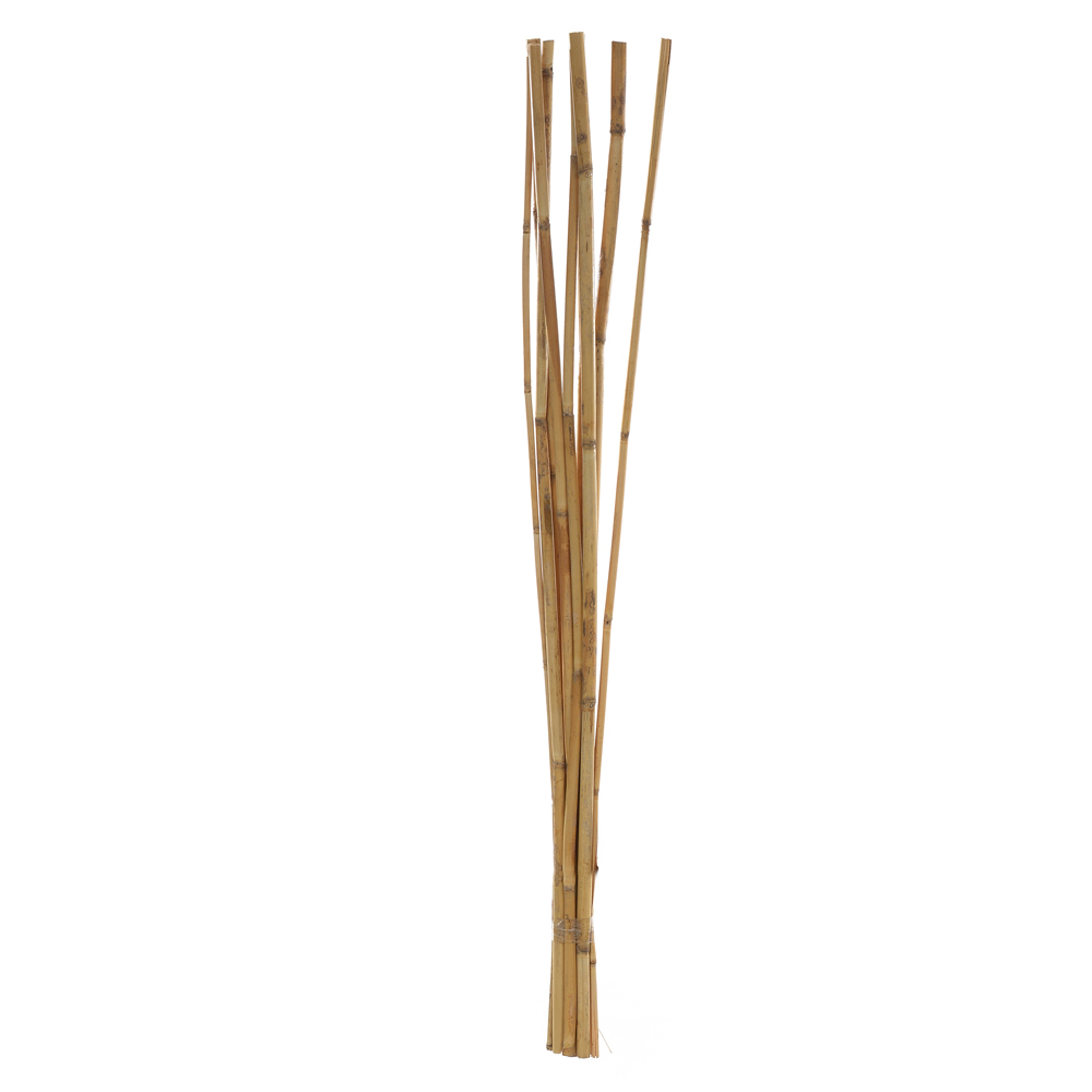 C.BAMBOO C/EMBALAGEM C/9 UNI (PALHA) 1m