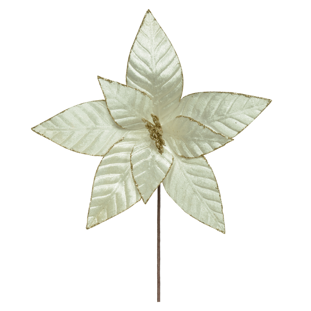 H.BICO DE PAPAGAIO (BRANCO) 35cm 30d