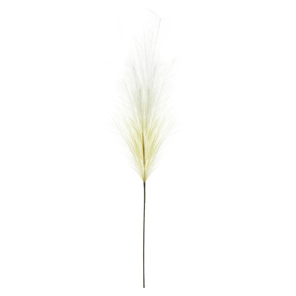 C.PLUMA X18 (CREME) 1,2m