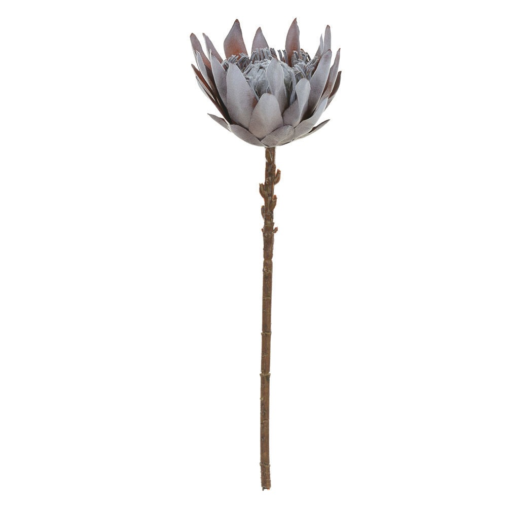 H.PROTEA FLOCKED (MARROM OUTONO) 50cm