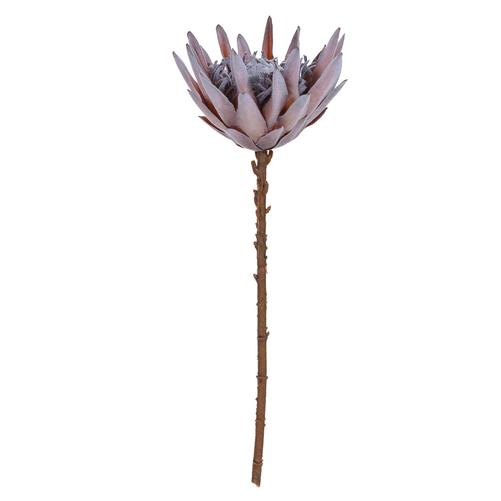 H.PROTEA FLOCKED (OCRE OUTONO) 50cm