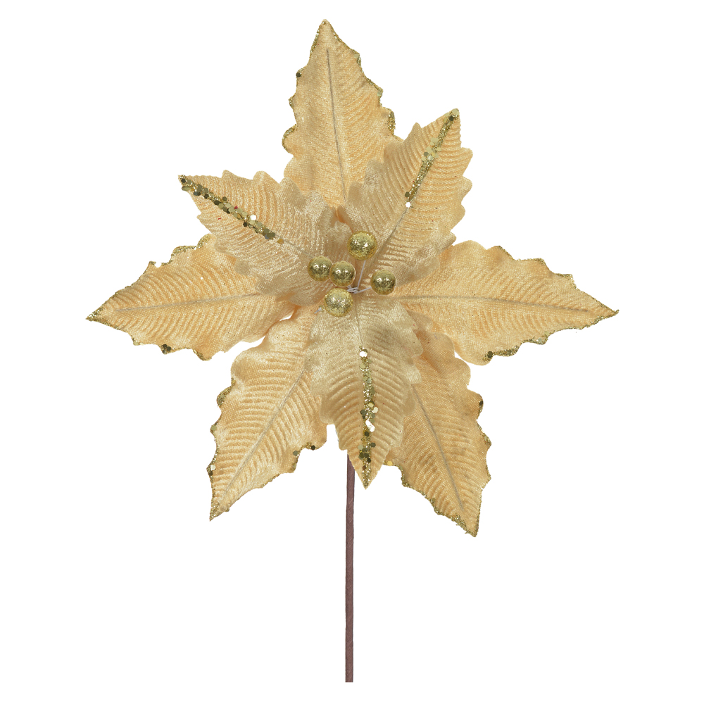 H.BICO DE PAPAGAIO (DOURADO) 30cm 29d