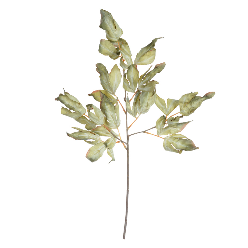 C.GALHO FOLHA X12 (VERDE MENTA OUTONO) 64cm