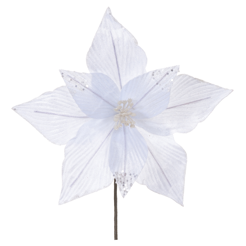 H.BICO DE PAPAGAIO (BRANCO) 28cm