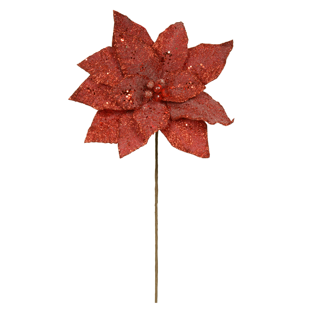 H.BICO DE PAPAGAIO (VERMELHO) 27cm 31d