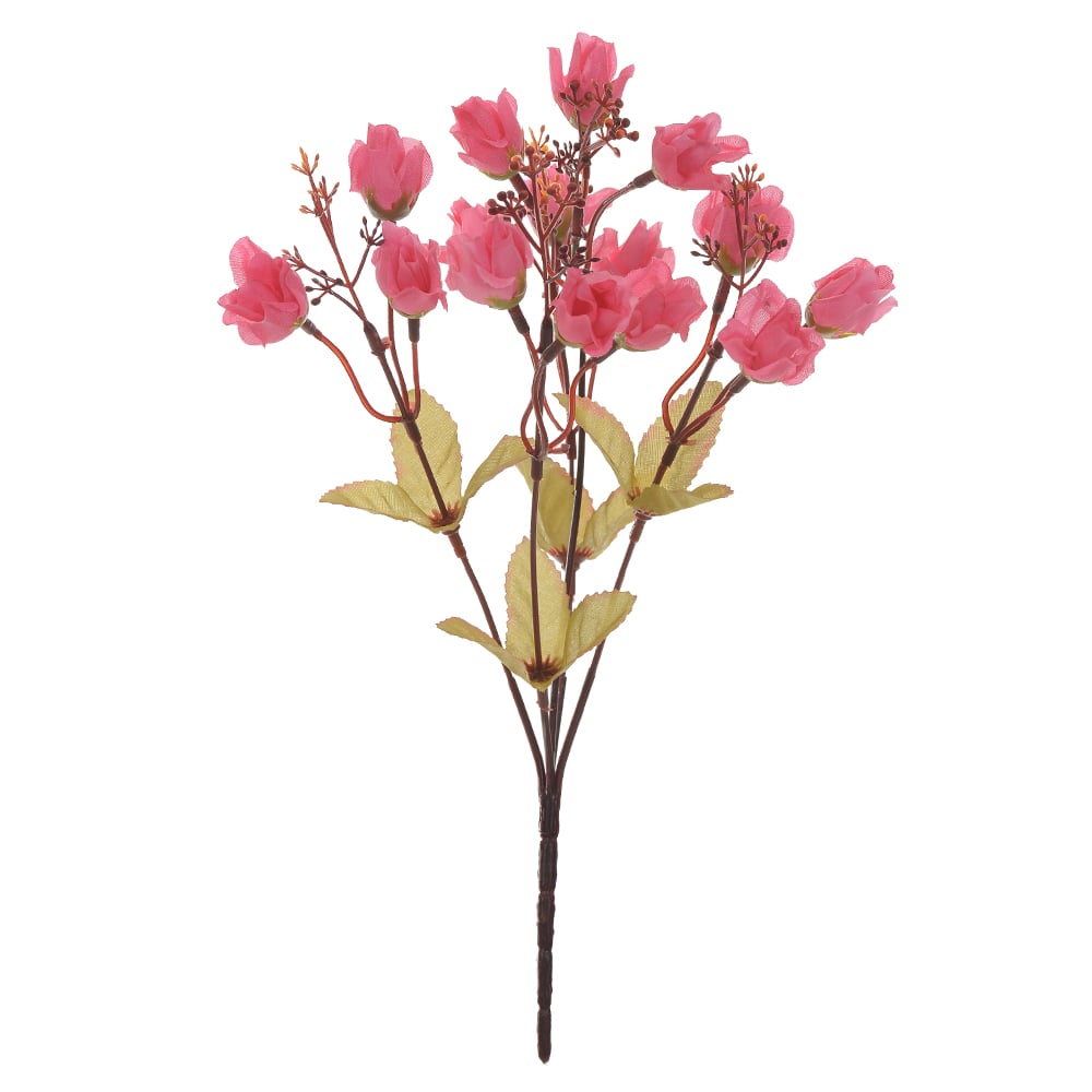 B.ROSA MINI X15 (FUCSIA OUTONO) 30cm