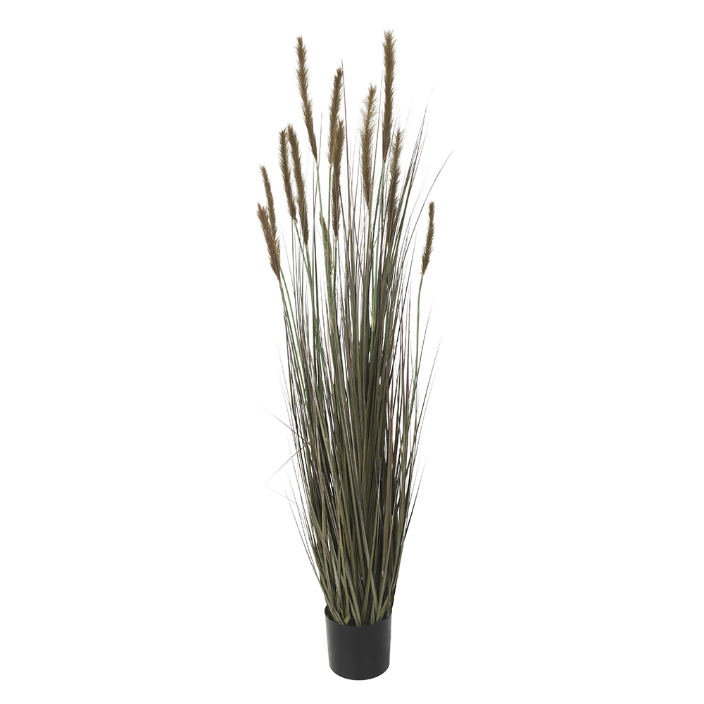 F.GRASS C/POTE X12 (VERDE OUTONO) 1,53m