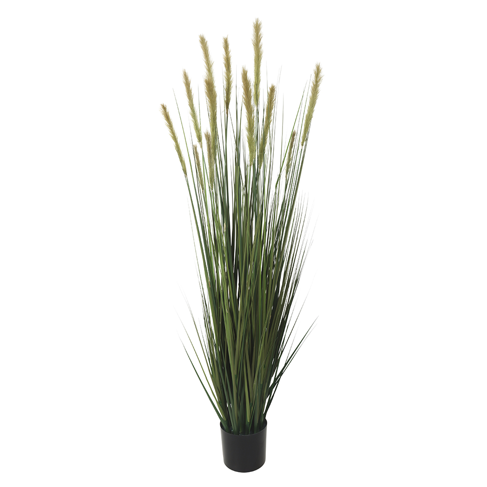F.GRASS C/POTE X12 (VERDE CREME) 1,53m