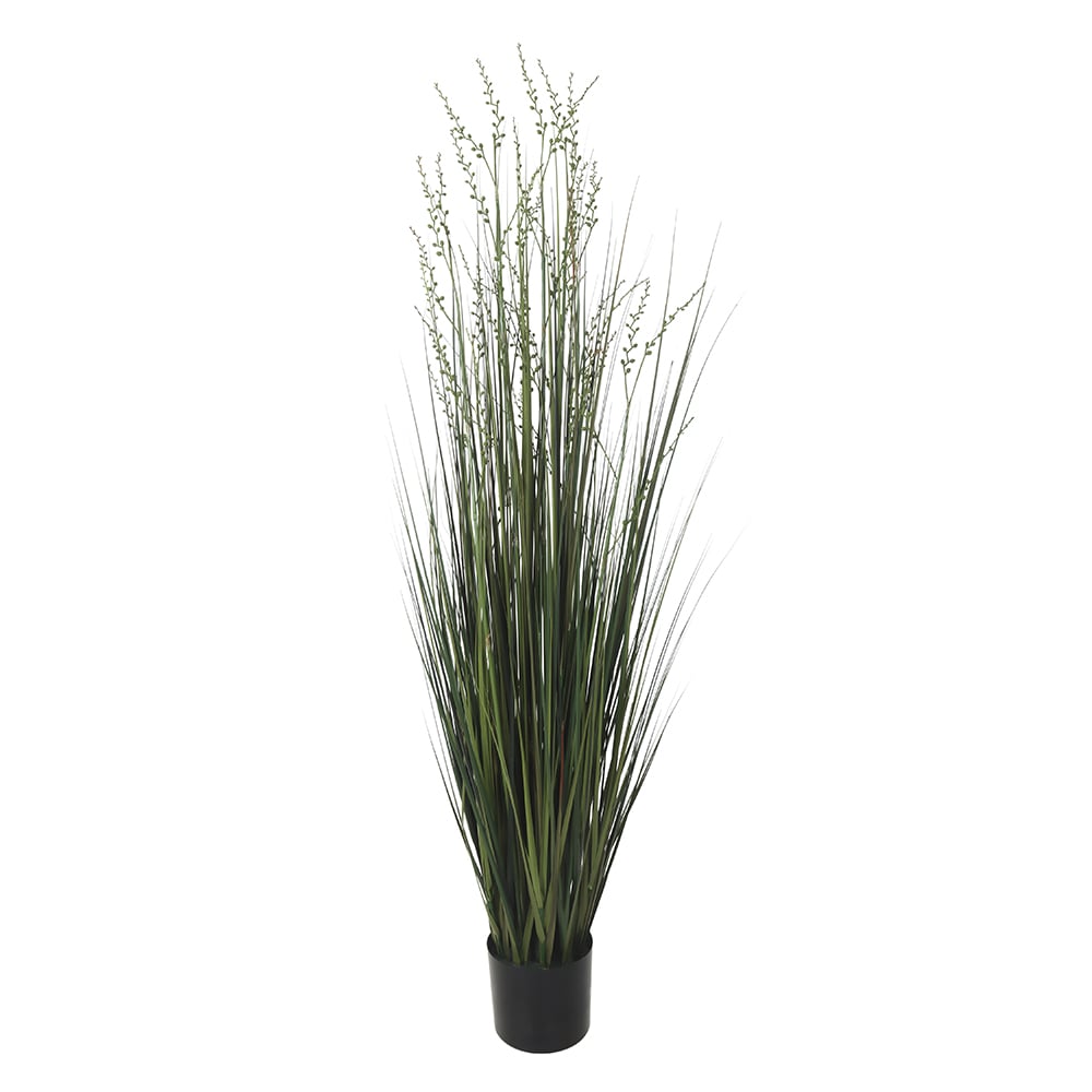 F.GRASS C/POTE X35 (VERDE) 1,53m