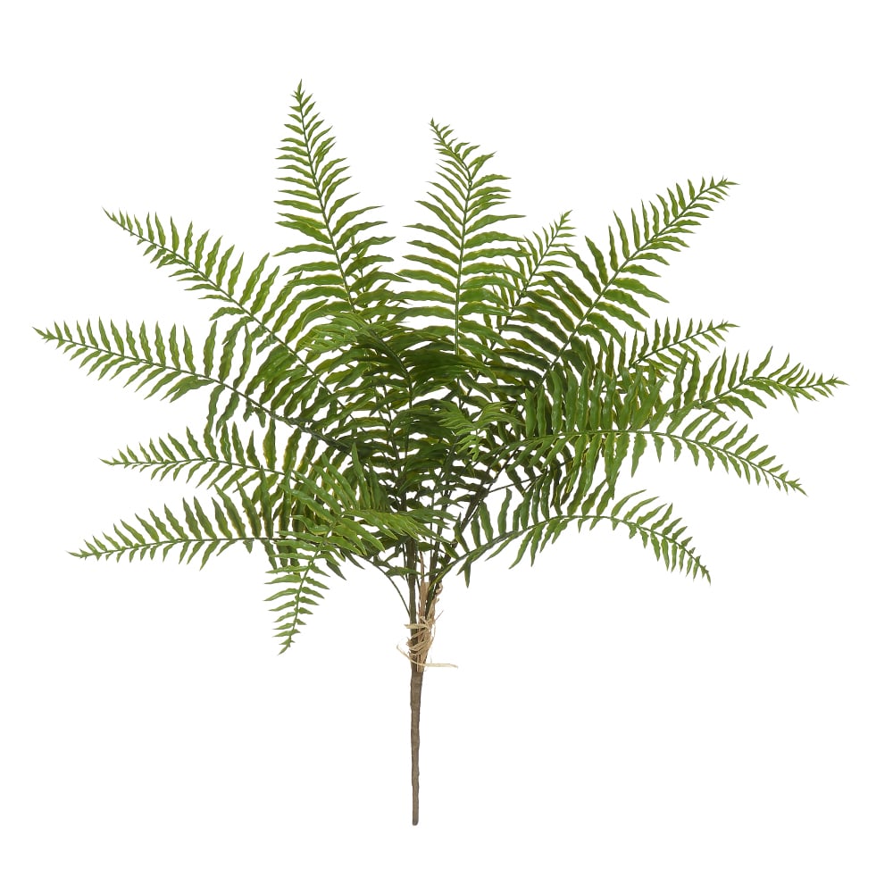 F.SAMAMBAIA C/PRINT PLASTICO X16 (VERDE) 68cm