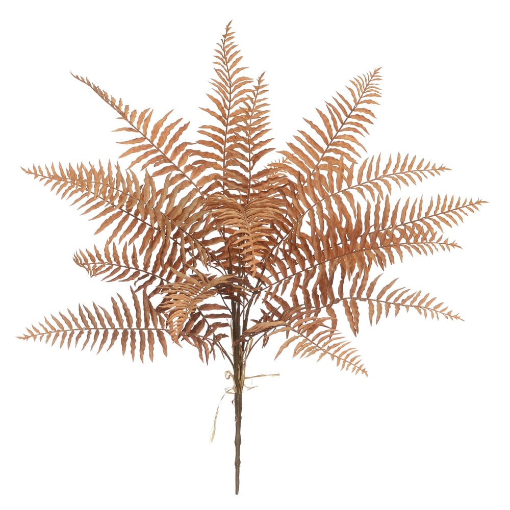F.SAMAMBAIA C/PRINT PLASTICO X16 (MARROM OUTONO) 68cm