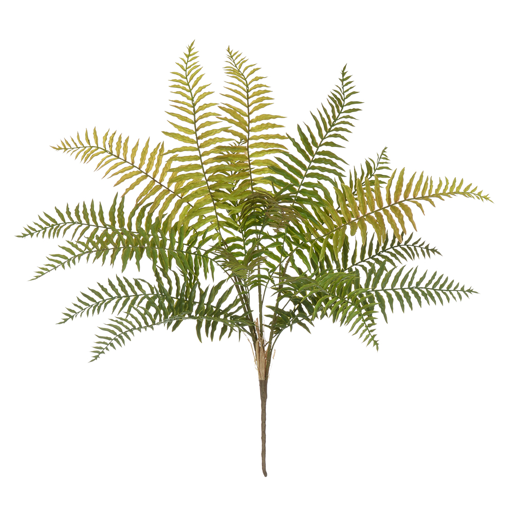 F.SAMAMBAIA C/PRINT PLASTICO X16 (VERDE OUTONO) 68cm