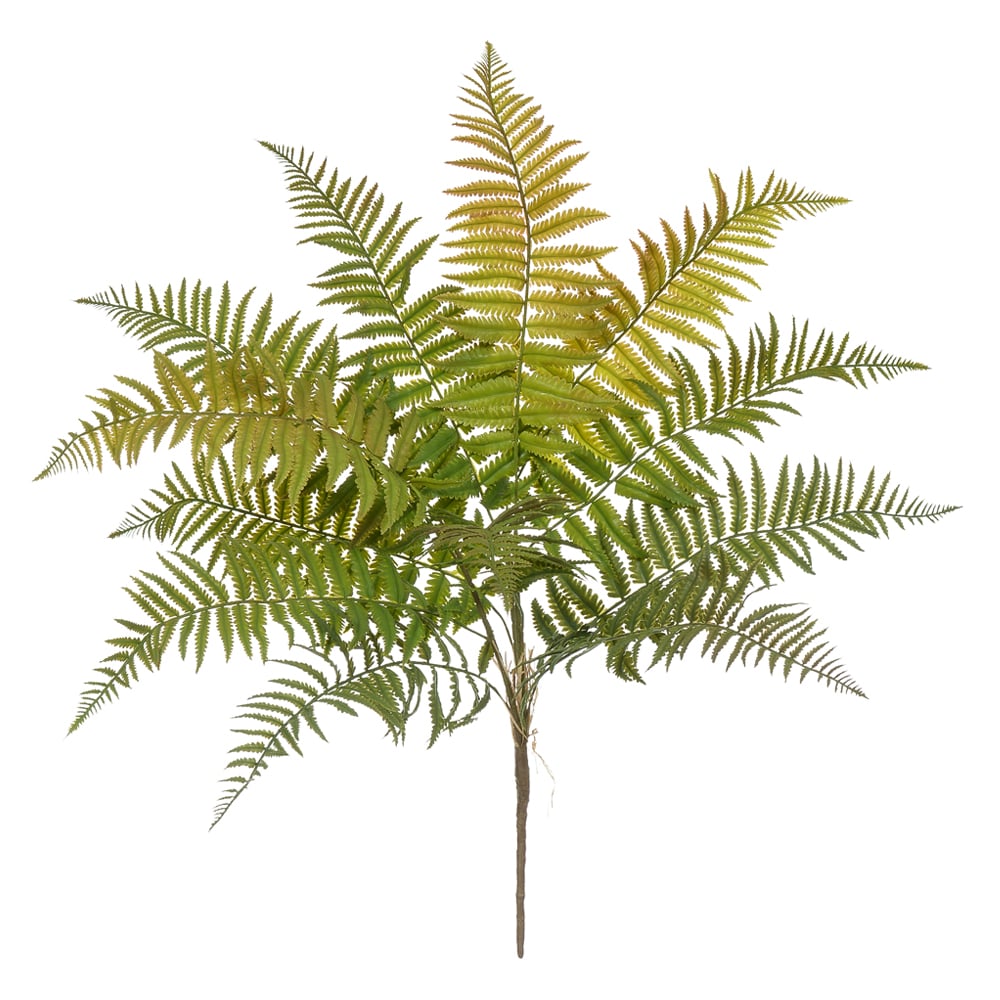 F.SAMAMBAIA C/PRINT PLASTICO X12 (VERDE OUTONO) 74cm