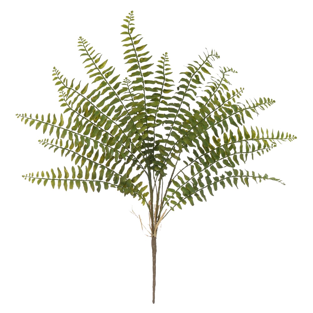 F.SAMAMBAIA C/PRINT PLASTICO X16 (VERDE) 70cm