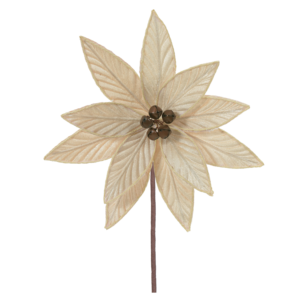 H.BICO DE PAPAGAIO (CHAMPANHE) 26cm 26d