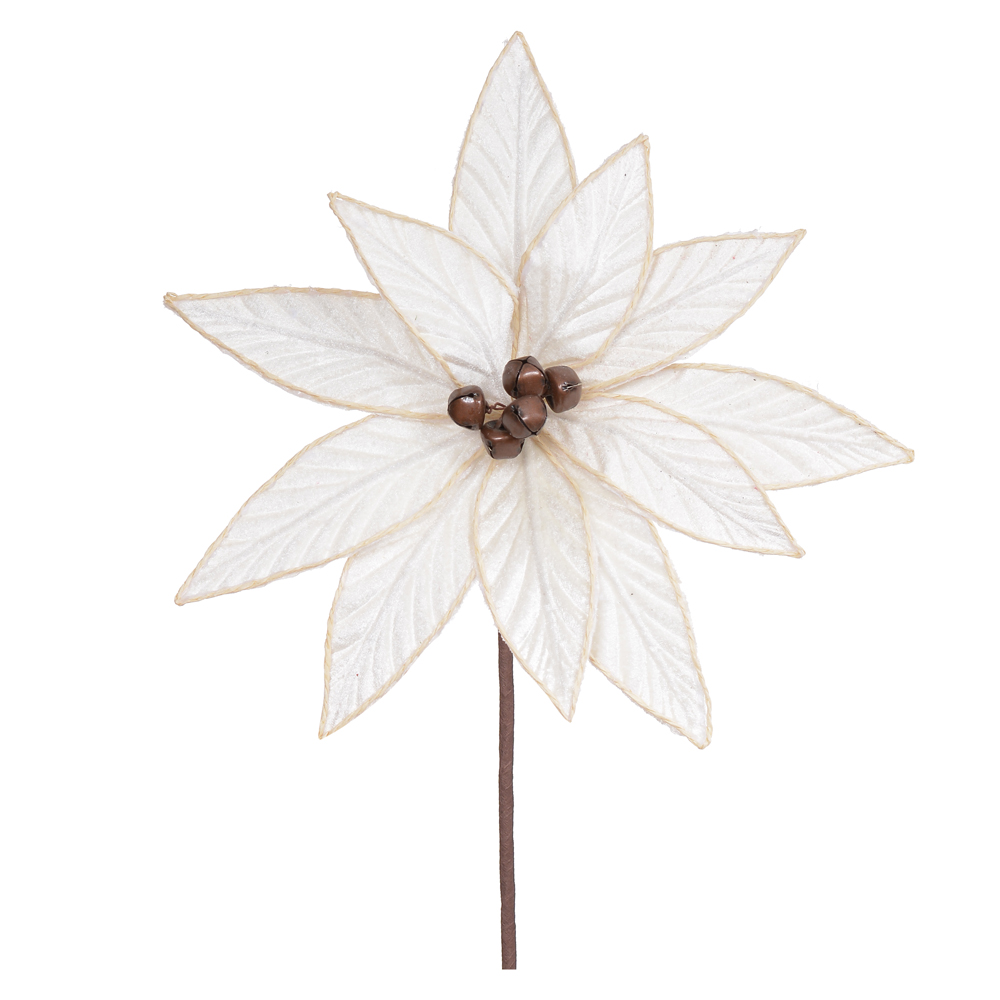 H.BICO DE PAPAGAIO (CREME) 26cm 26d