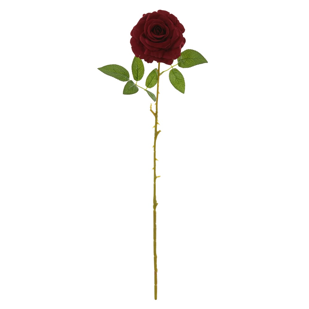 H.ROSA AVELUDADO (MARSALA) 65cm
