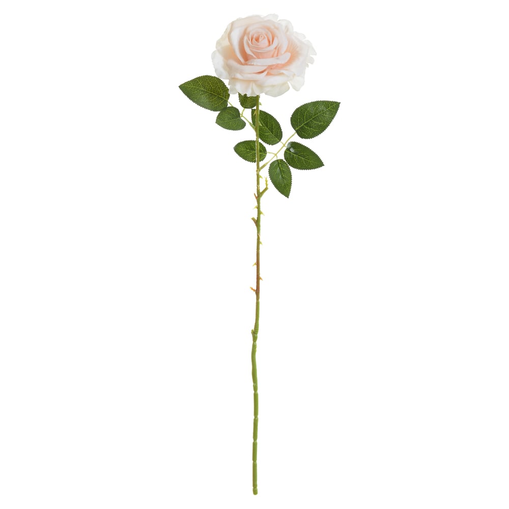 H.ROSA AVELUDADO (CREME) 65cm