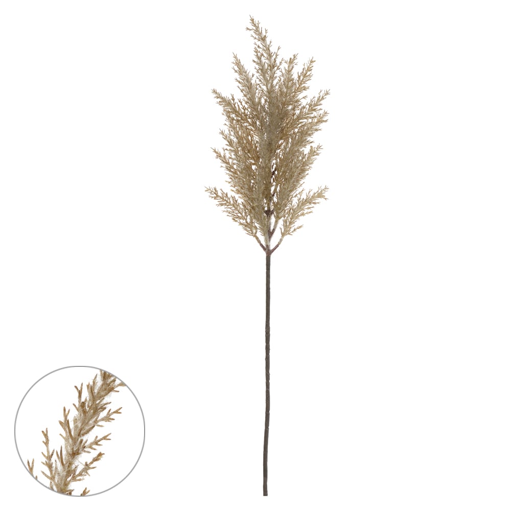 C.ASTILBE C/FLOCKED X29 (NUDE) 70cm