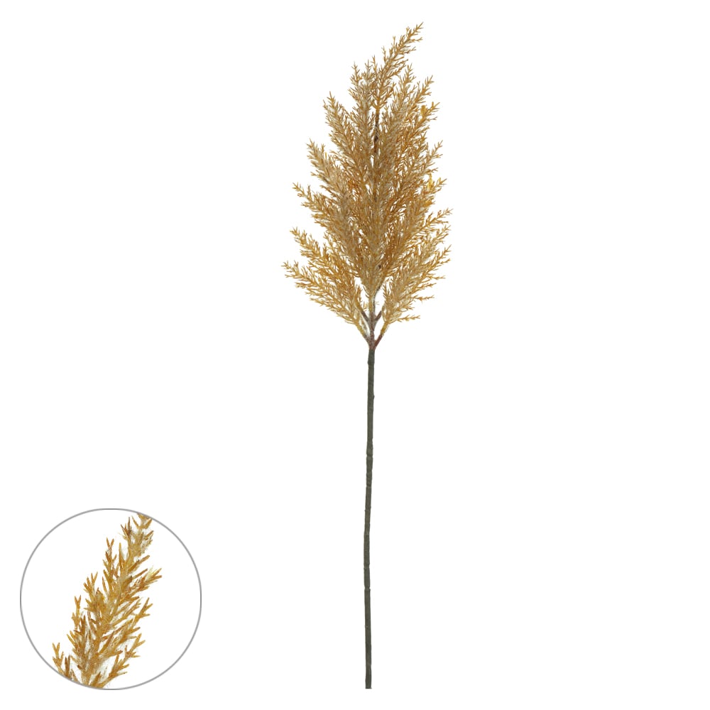 C.ASTILBE C/FLOCKED X29 (OCRE) 70cm