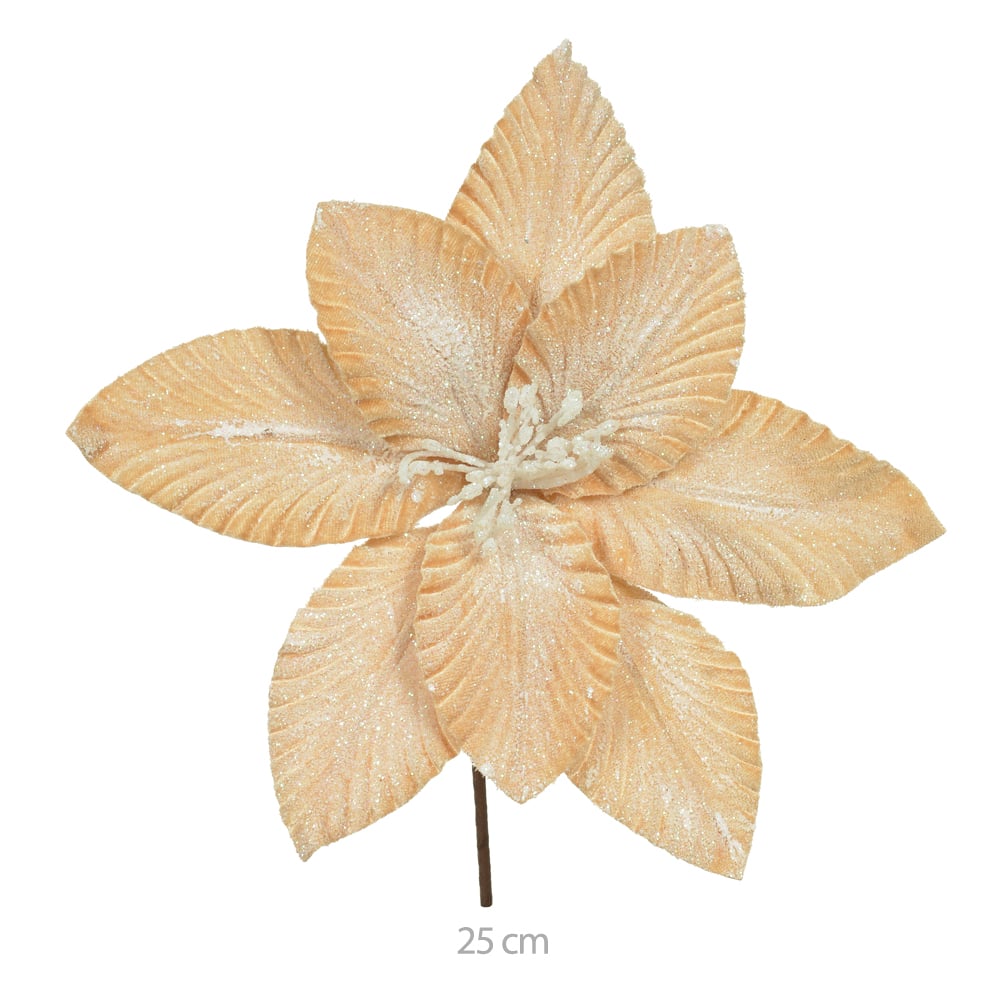 H.BICO PAPAGAIO (CHAMPANHE DOURADO) 25cm
