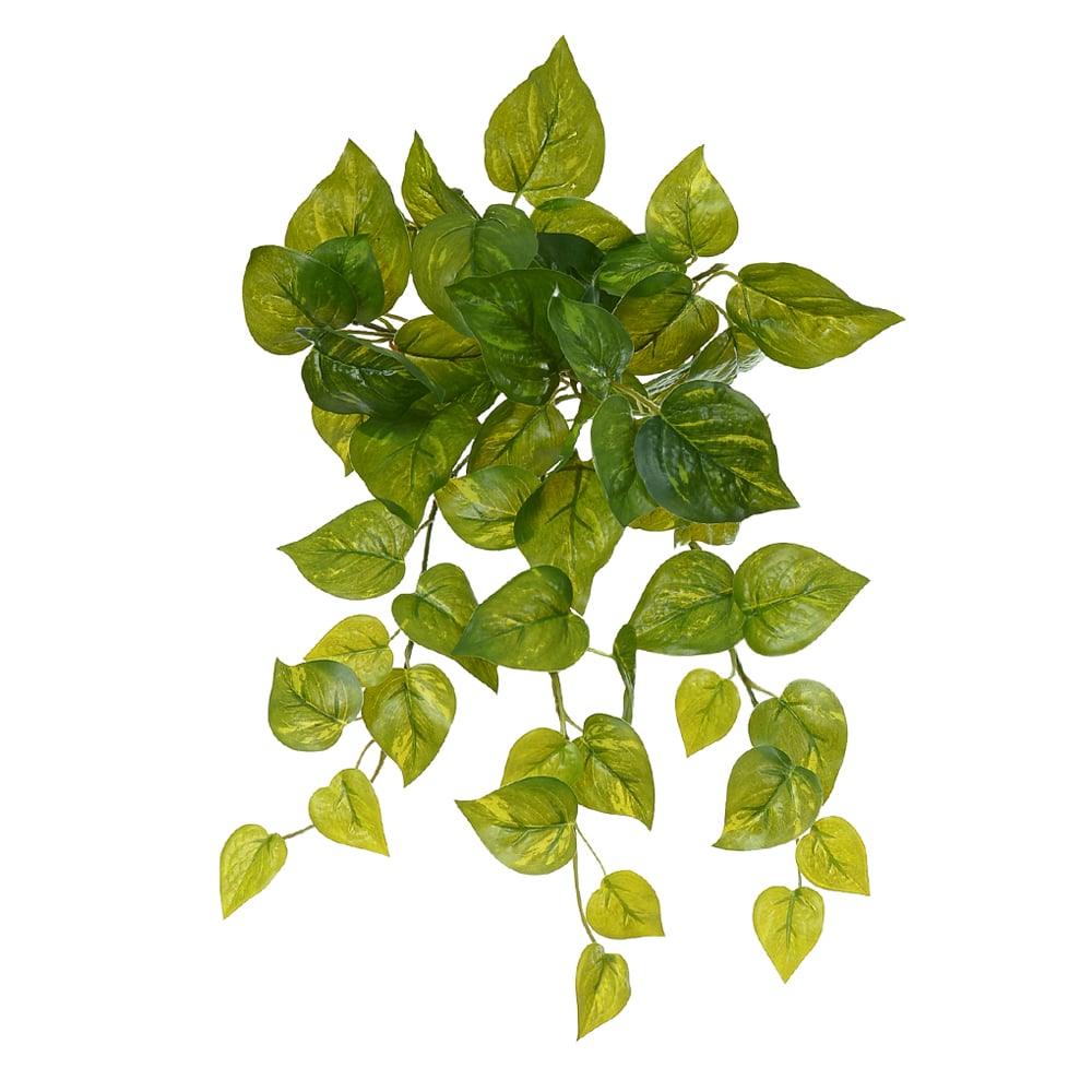 F.JIBOIA PENDURAR REAL TOQUE X60 (VERDE CREME) 40cm