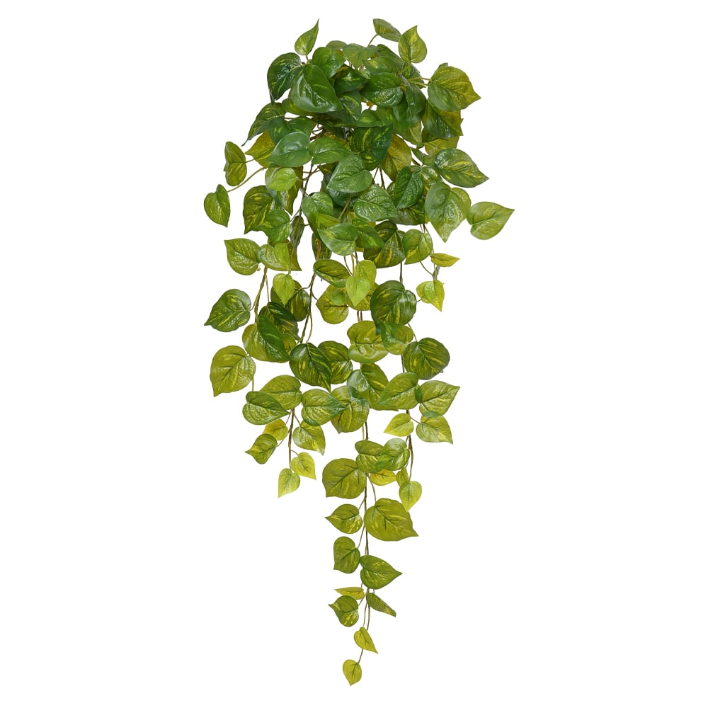 F.JIBOIA PENDURAR REAL TOQUE X141 (VERDE CREME) 71cm