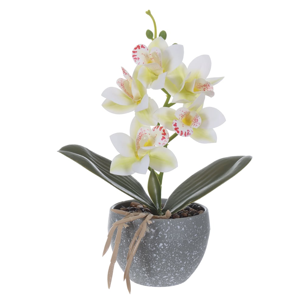 H.ORQUIDEA DENDROBIUM REAL TOQUE C/POTE X5 (BRANCO) 23cm