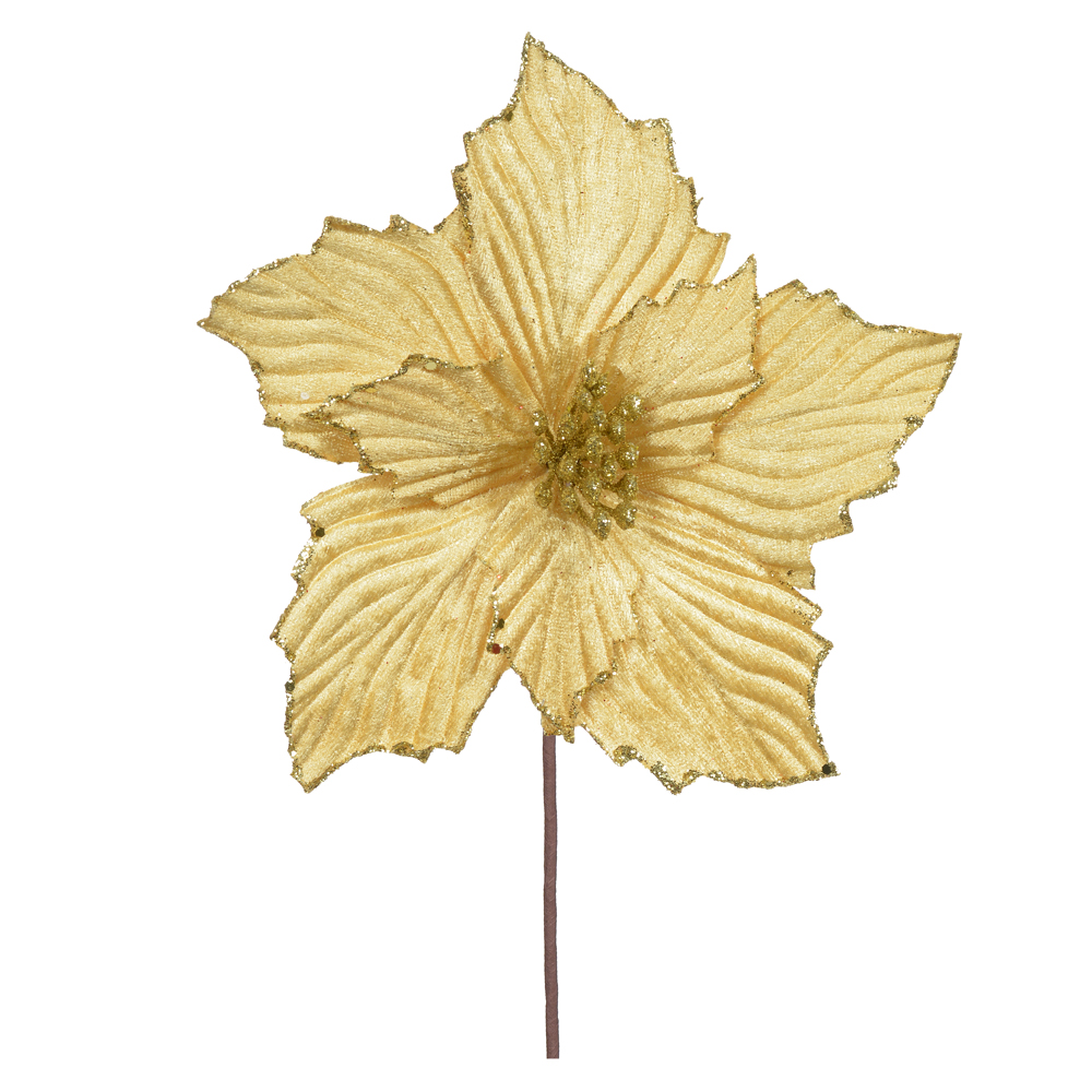 H.BICO DE PAPAGAIO (DOURADO) 22cm 22d