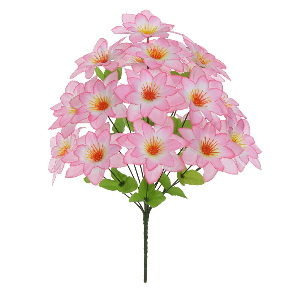 B.DALIA X18 (ROSA) 48cm