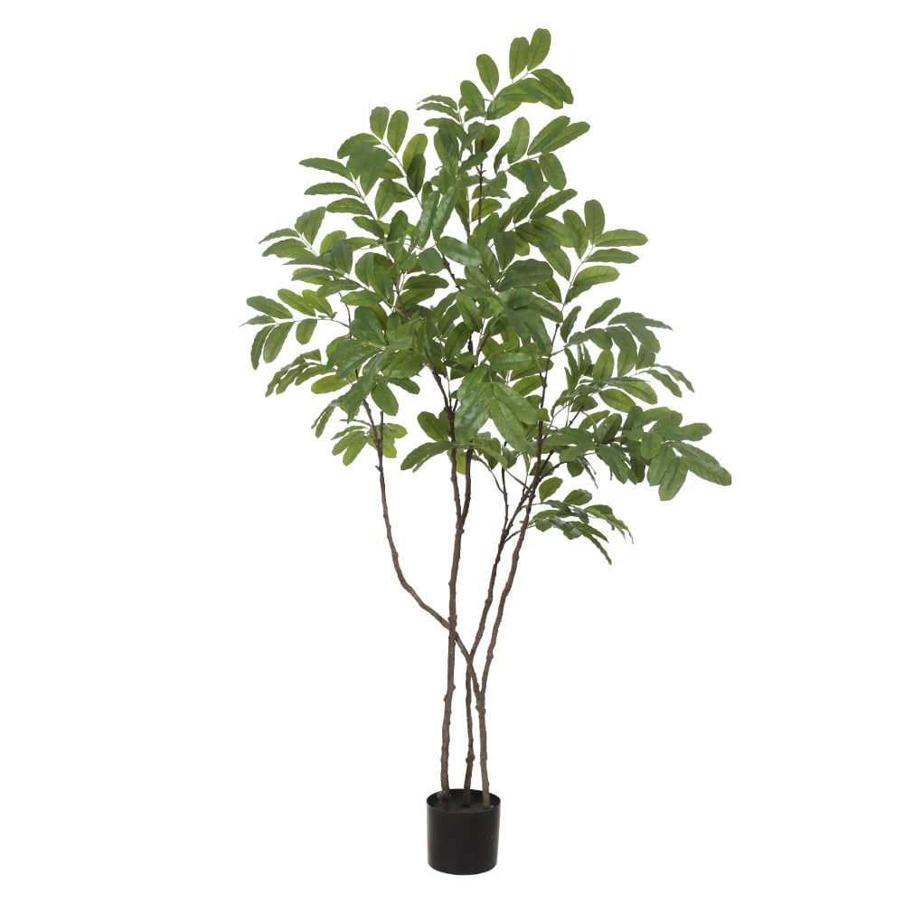 A.RAMBUTAN C/POTE REAL TOQUE X292 (VERDE) 1,6m