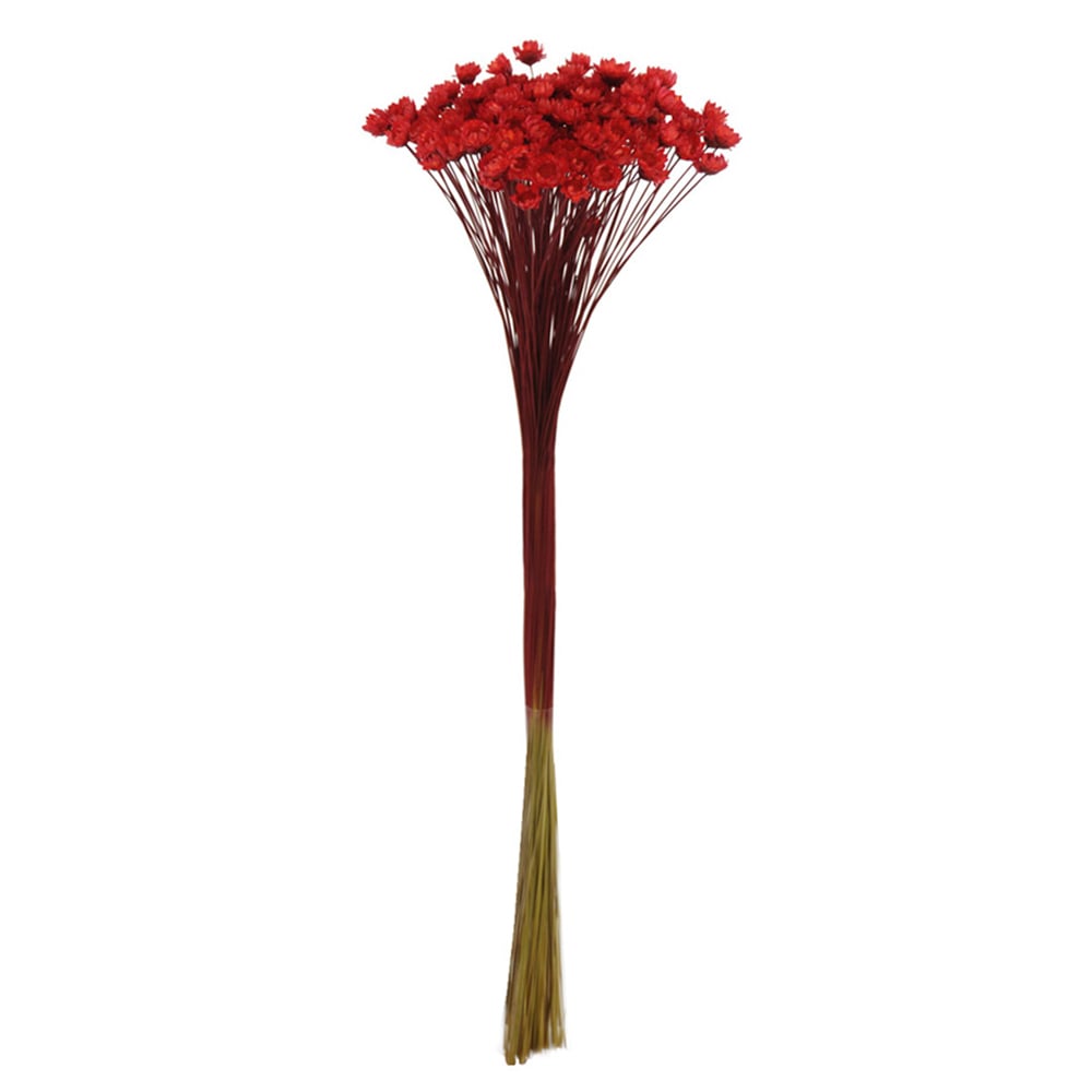 SEMPRE VIVA DESIDRATADO (VERMELHO) 34CM