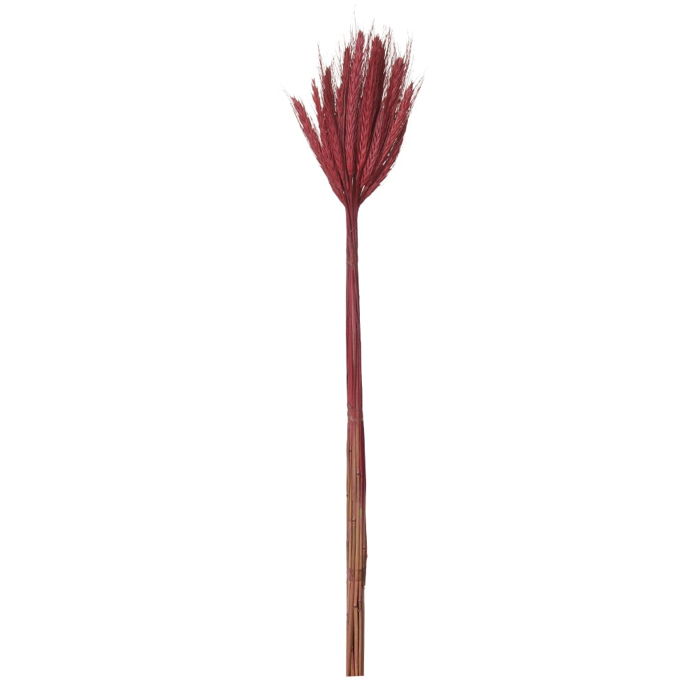 TRIGO C/20 HASTE DESIDRATADO (VERMELHO) 65CM