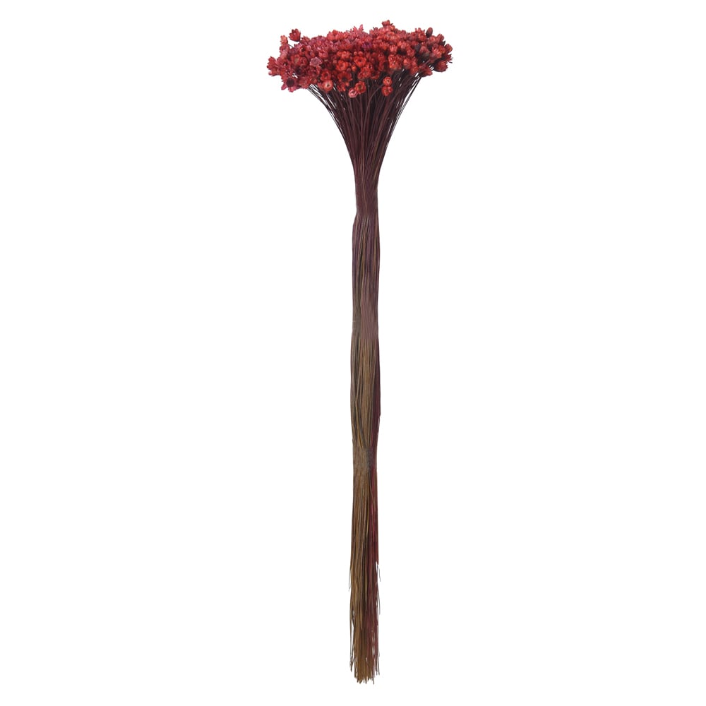 SEMPRE VIVA DESIDRATADO (VINHO  ESCURO) 40CM
