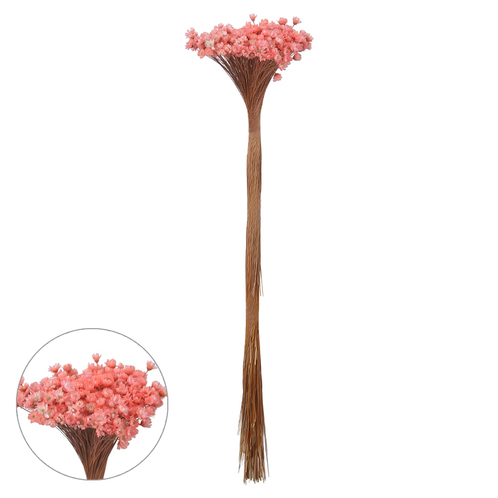 SEMPRE VIVA DESIDRATADO (SALMAO) 40CM