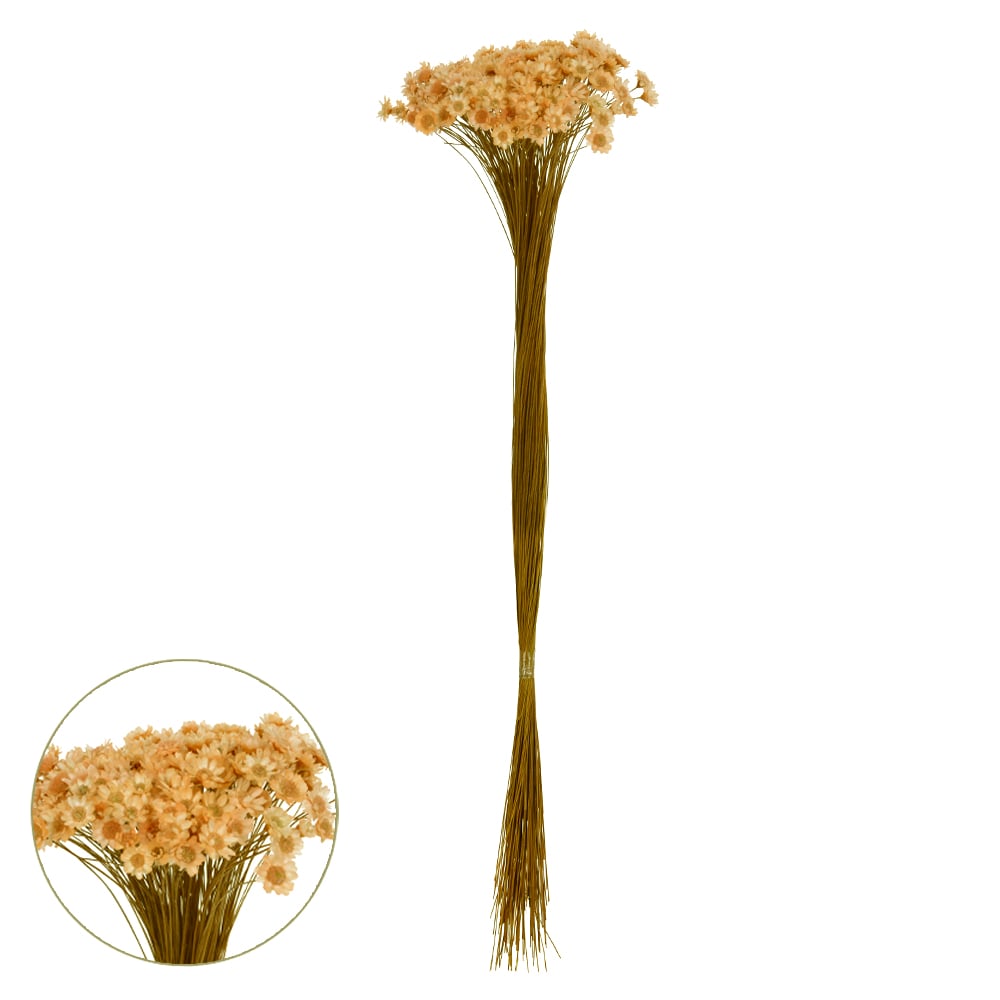 SEMPRE VIVA DESIDRATADO (PESSEGO) 40CM