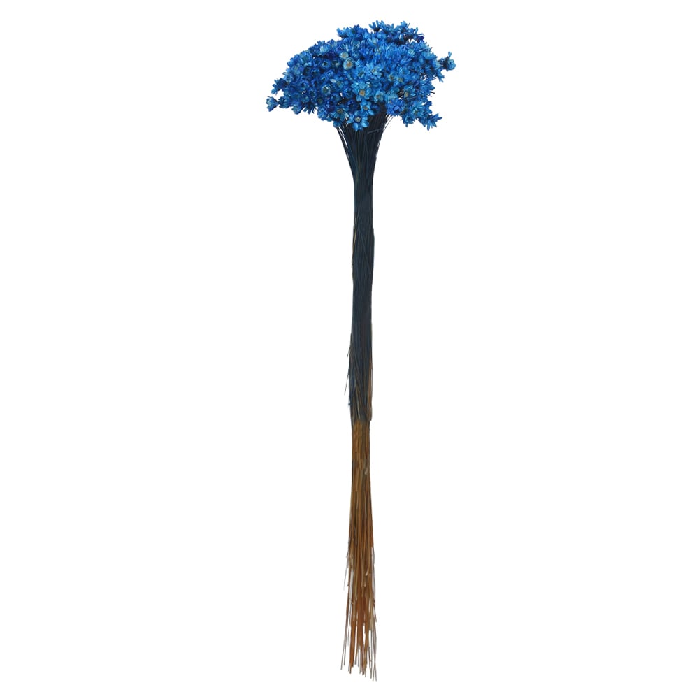 SEMPRE VIVA DESIDRATADO (AZUL ESCURO) 40CM