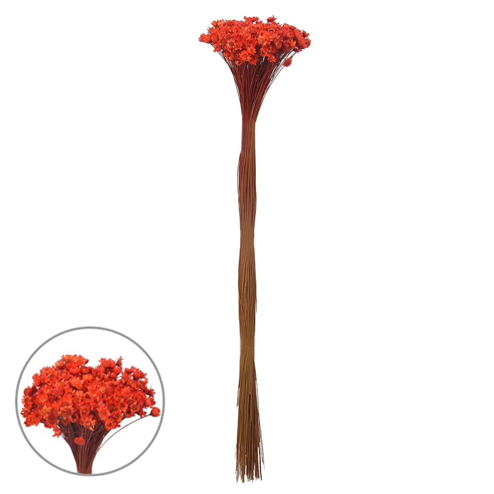 SEMPRE VIVA DESIDRATADO (LARANJA  ESCURO) 40CM