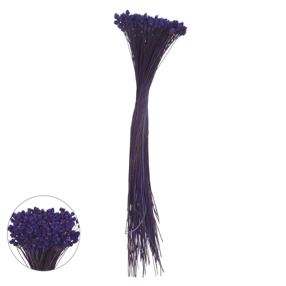 JAZIDA DESIDRATADO (LAVANDA) 40CM