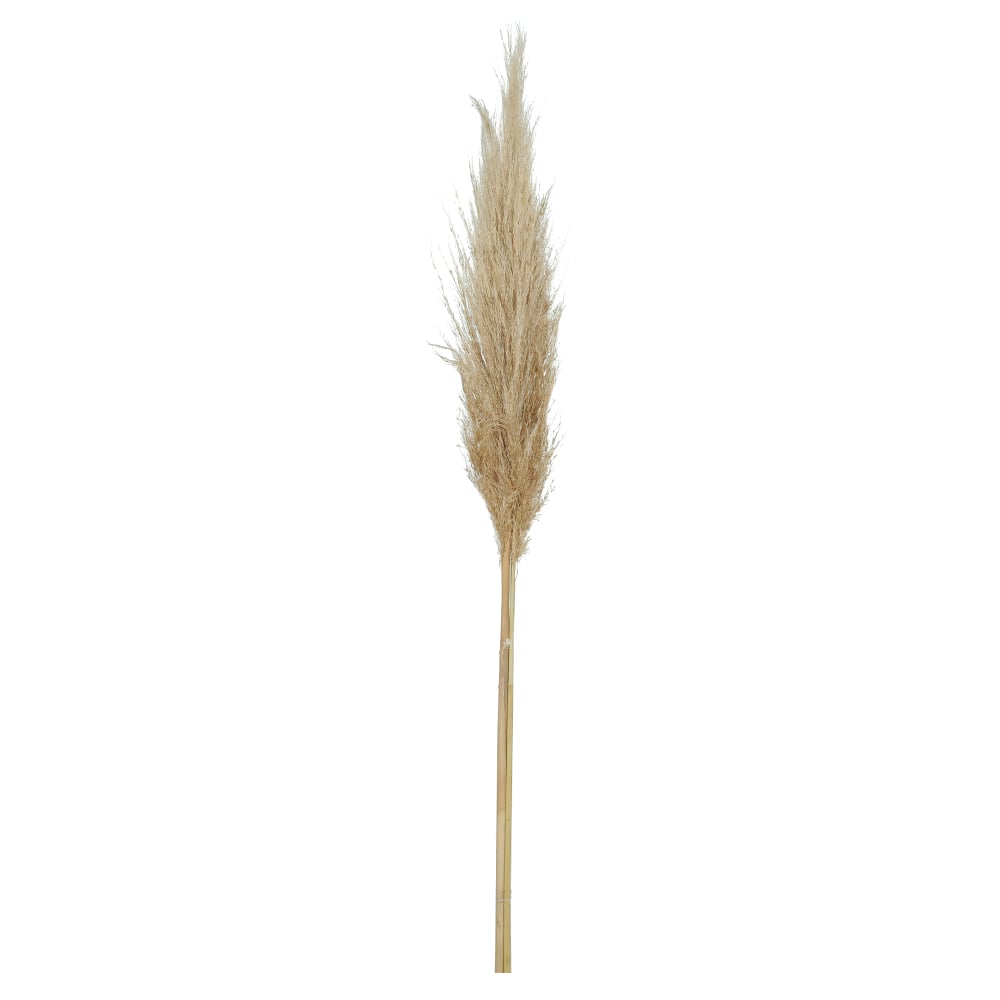 CAPIM DOS PAMPAS C/ 3 HASTES DESIDRATADO (NATURAL) 70CM