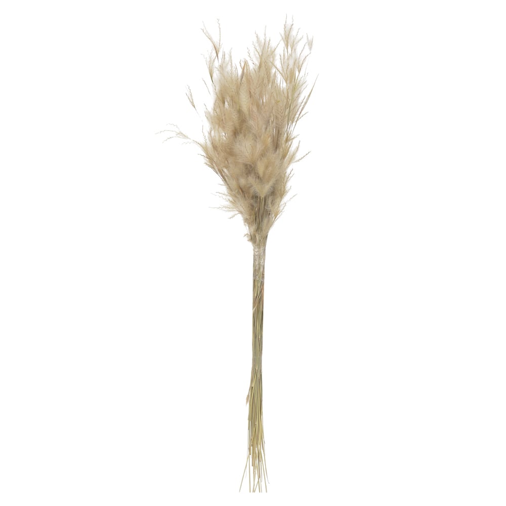 PLUMINHA DESIDRATADO (NATURAL) 40CM