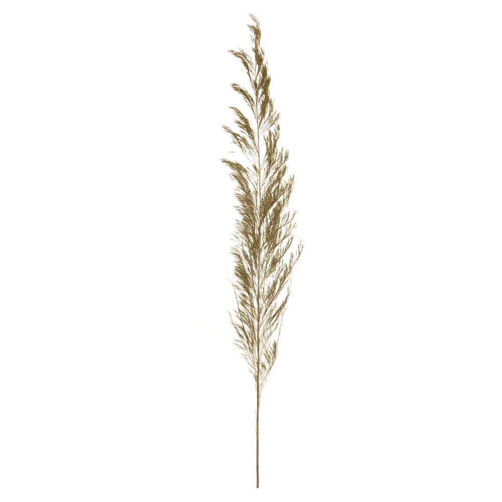 PINHEIRO EM PLUMAS C/ 3 HASTES DESIDRATADO (ALVEJADO) 150CM