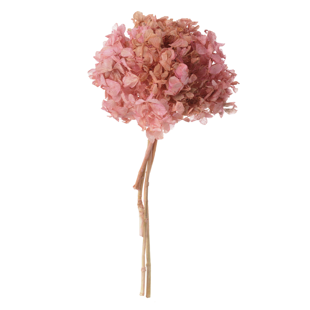 HORTENSIA C/ 5 HASTES DESIDRATADO (ROSA CLARO) 25CM
