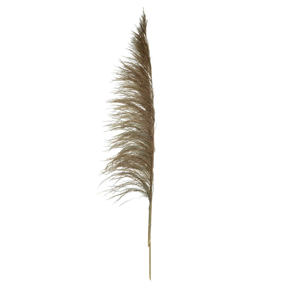 PLUMA PENDAO CANABRAVA C/ 3 HASTES DESIDRATADO (NATURAL) 150CM